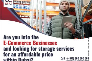 re-you-into-the-E-Commerce-Businesses-and-looking-for-storage-services-for-an-affordable-price-within-UAE-Dubai